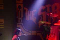 20181124-The-Struts-2464