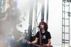 Car Seat Headrest