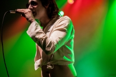 03312017_Foxygen_012