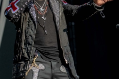 2018WTR3-Billy-Idol-3621