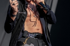 2018WTR3-Billy-Idol-3719