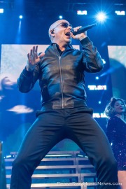 20211012-Pitbull-5415_Daniel-Moll