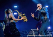 20211012-Pitbull-5473_Daniel-Moll
