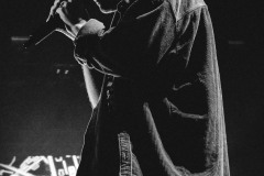 bastille5