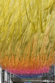 20220826-Sacred-Rose-21
